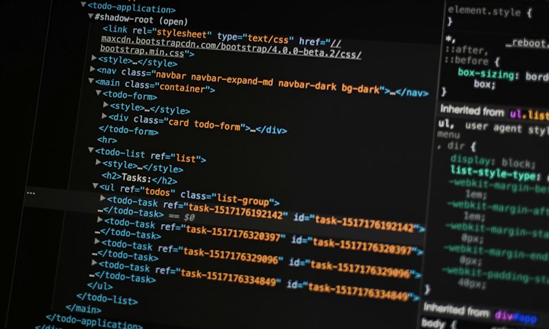 Software developer building web application
